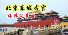 视频操死我免费啊啊啊好爽免费中国北京-东城古宫旅游风景区